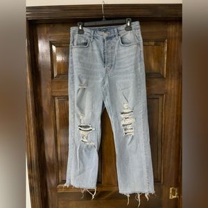 Wild Fable jeans